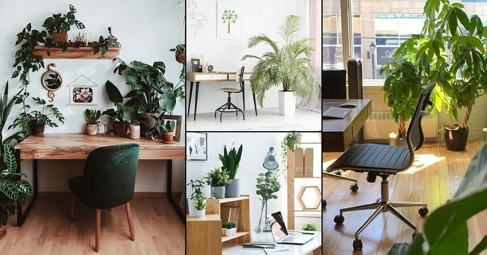 Thiết kế bàn làm việc và trang điểm cạnh cửa sổ để tận dụng ánh sáng tự nhiên và khơi nguồn cảm hứng