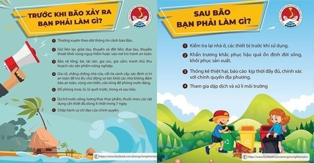 Cách gia cố cửa sổ đúng cách trong mùa bão