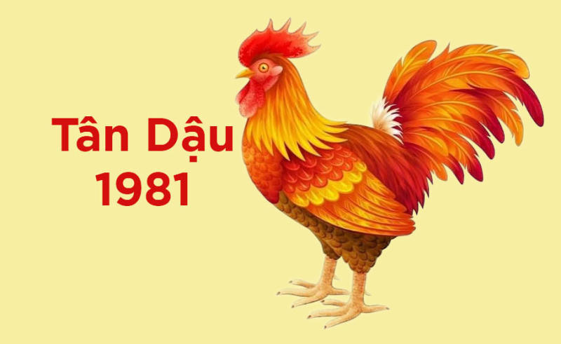 Tổng quan về người tuổi Tân Dậu và mệnh phong thủy