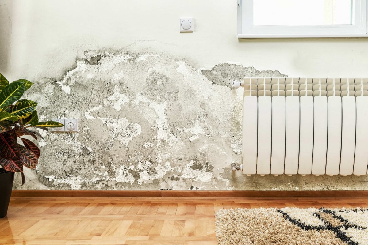 Cách tẩy vết bẩn trên tường nhà