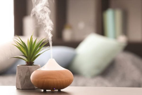 Cách làm nhà thơm với tinh dầu và đèn xông – thơm tự nhiên, thư giãn tinh thần